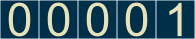 website counter