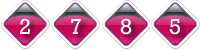 website counter